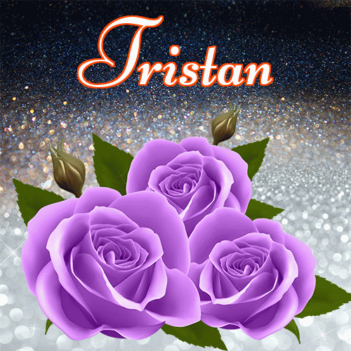 Miłego wieczoru i dobrej nocy życzę!。 