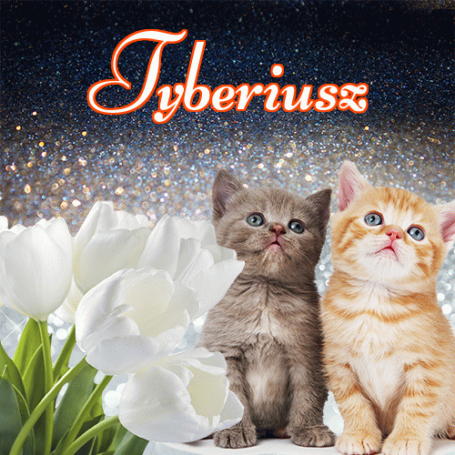 Miłego wieczoru i dobrej nocy życzę!。 