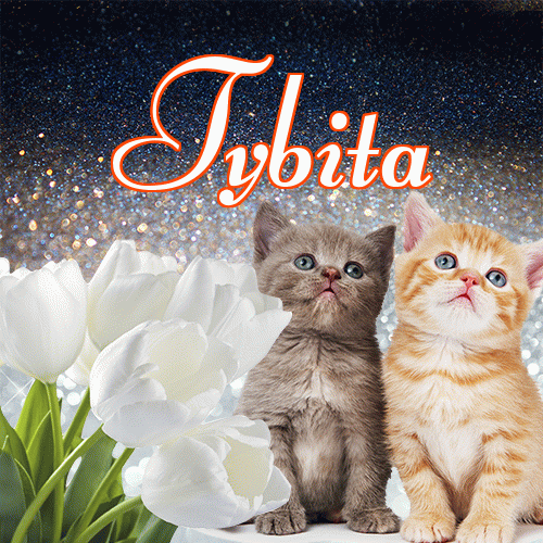 Miłego wieczoru i dobrej nocy życzę!。 