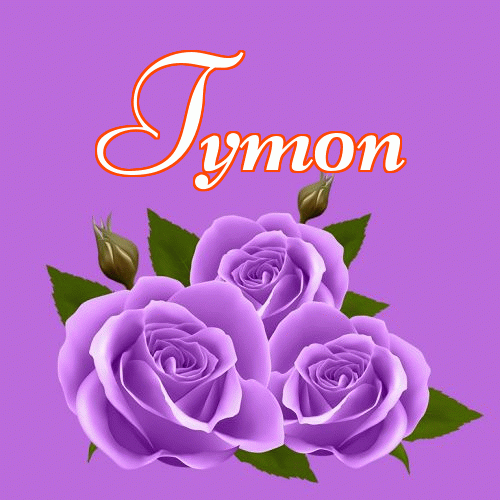 Miłego wieczoru i dobrej nocy życzę!。 