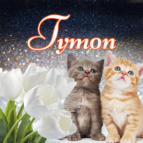 Miłego wieczoru i dobrej nocy życzę!。 