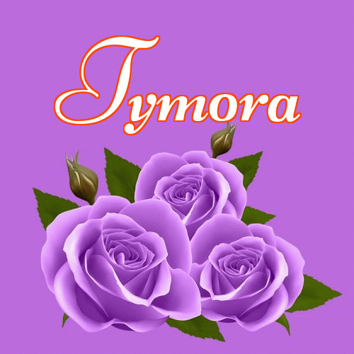 Miłego wieczoru i dobrej nocy życzę!。 