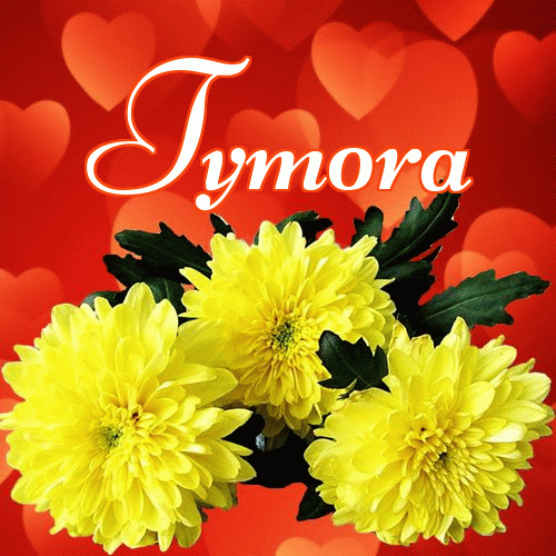 Miłego wieczoru i dobrej nocy życzę!。 