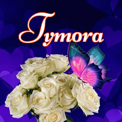 Miłego wieczoru i dobrej nocy życzę!。 