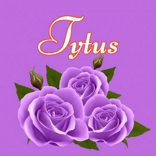 Miłego wieczoru i dobrej nocy życzę!。 