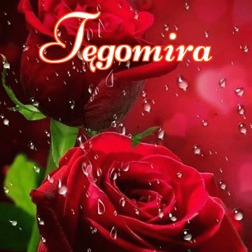 Miłego wieczoru i dobrej nocy życzę!。 