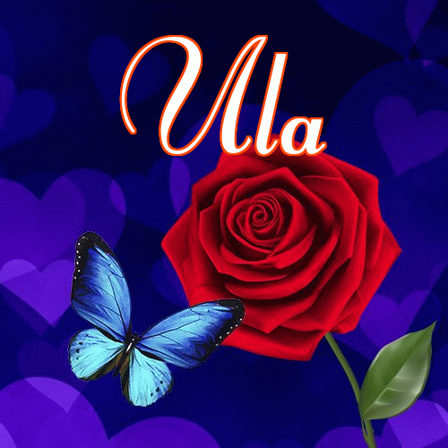 Miłego wieczoru i dobrej nocy życzę!。 