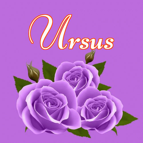 Miłego wieczoru i dobrej nocy życzę!。 