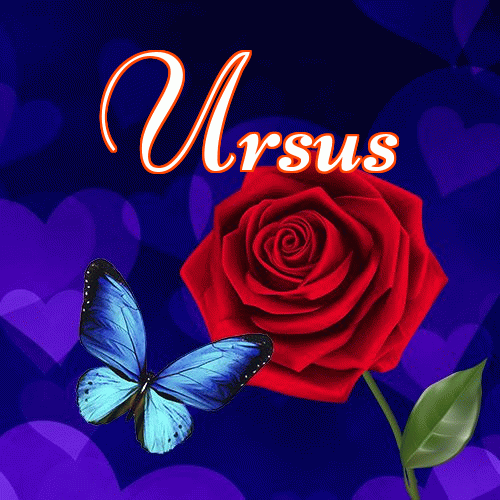 Miłego wieczoru i dobrej nocy życzę!。 