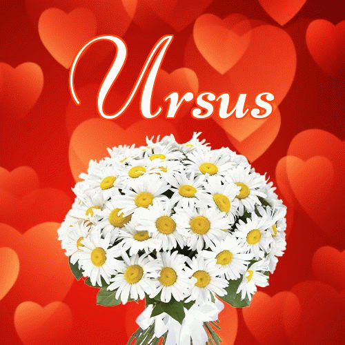 Miłego wieczoru i dobrej nocy życzę!。 