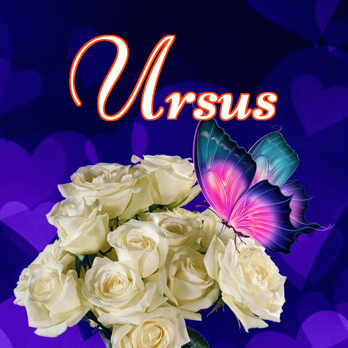 Miłego wieczoru i dobrej nocy życzę!。 