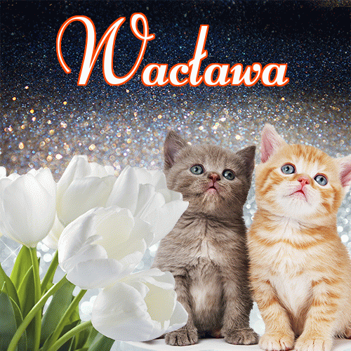 Miłego wieczoru i dobrej nocy życzę!。 