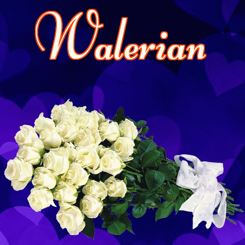 Miłego wieczoru i dobrej nocy życzę!。 