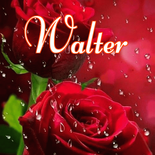 Miłego wieczoru i dobrej nocy życzę!。 