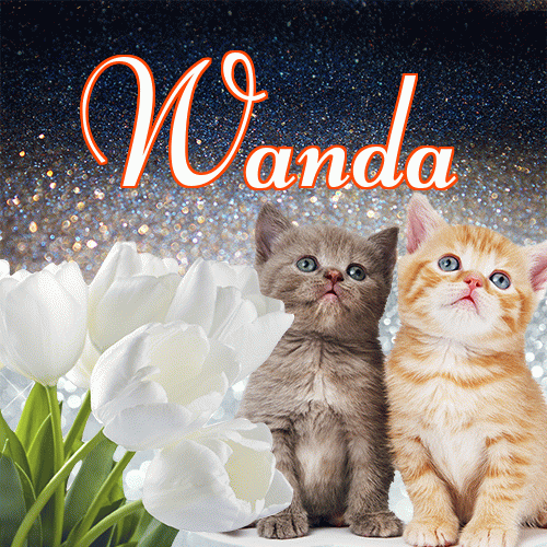 Miłego wieczoru i dobrej nocy życzę!。 