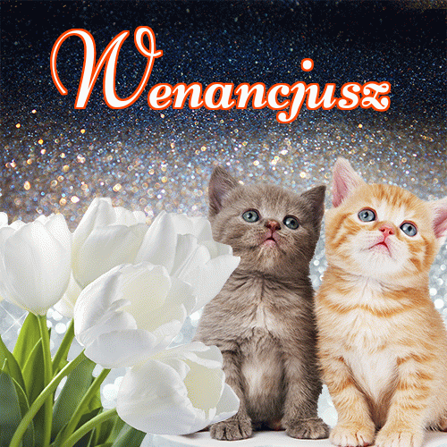Miłego wieczoru i dobrej nocy życzę!。 
