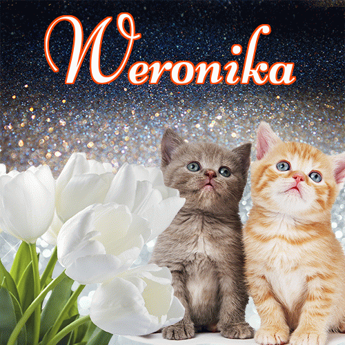 Miłego wieczoru i dobrej nocy życzę!。 