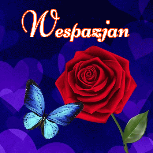 Miłego wieczoru i dobrej nocy życzę!。 