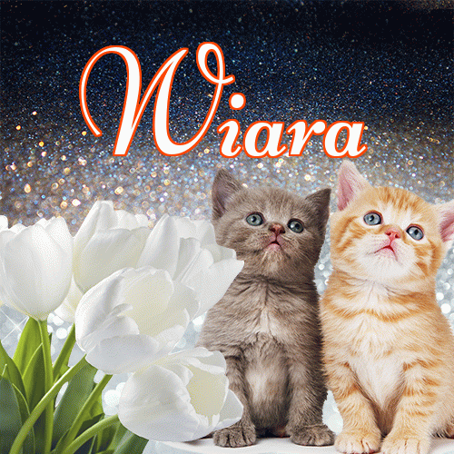 Miłego wieczoru i dobrej nocy życzę!。 