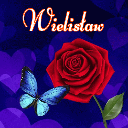 Miłego wieczoru i dobrej nocy życzę!。 