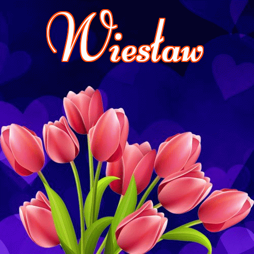 Miłego wieczoru i dobrej nocy życzę!。 