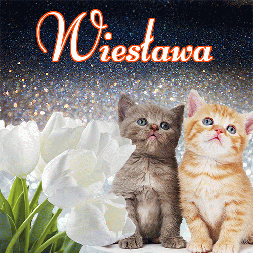 Miłego wieczoru i dobrej nocy życzę!。 