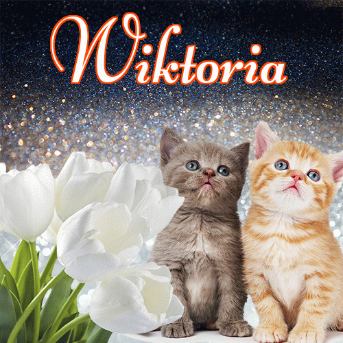 Miłego wieczoru i dobrej nocy życzę!。 