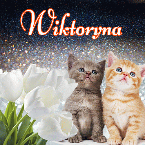 Miłego wieczoru i dobrej nocy życzę!。 