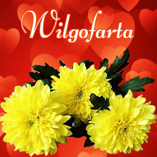 Miłego wieczoru i dobrej nocy życzę!。 