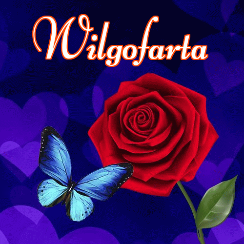 Miłego wieczoru i dobrej nocy życzę!。 