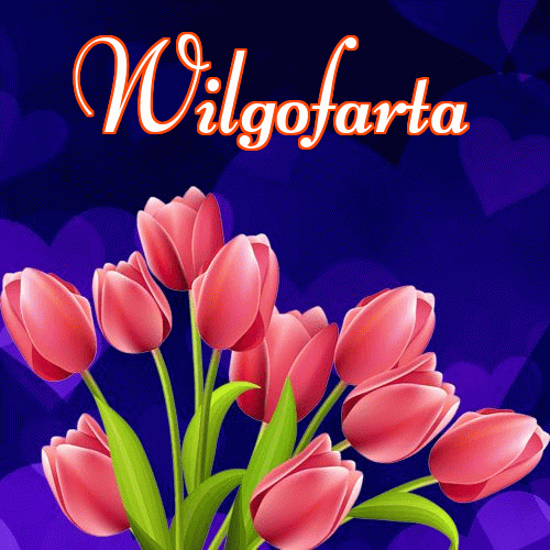 Miłego wieczoru i dobrej nocy życzę!。 