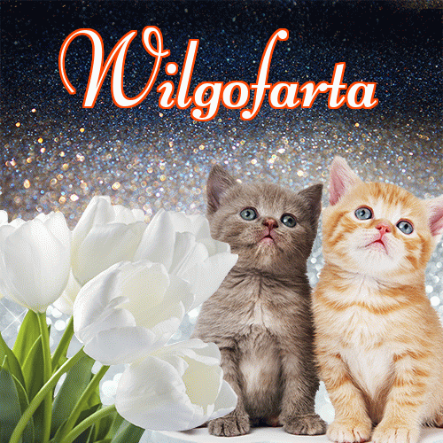 Miłego wieczoru i dobrej nocy życzę!。 