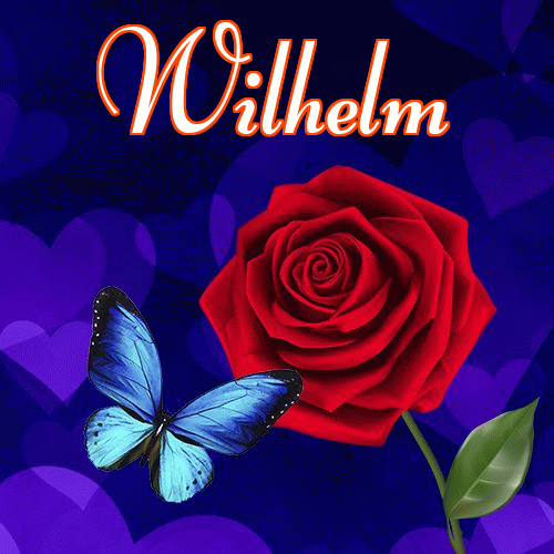 Miłego wieczoru i dobrej nocy życzę!。 