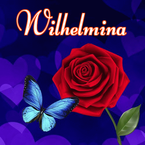 Miłego wieczoru i dobrej nocy życzę!。 