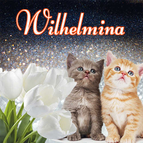 Miłego wieczoru i dobrej nocy życzę!。 