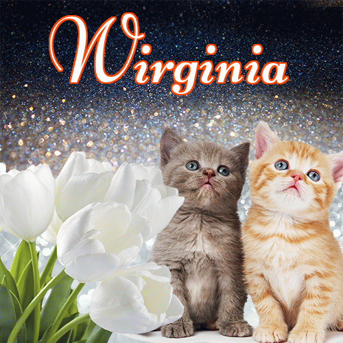 Miłego wieczoru i dobrej nocy życzę!。 