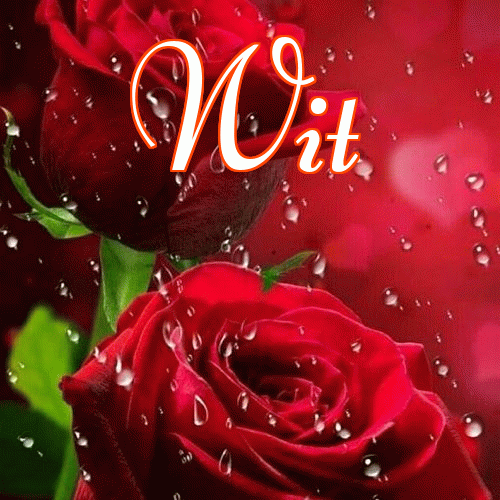 Miłego wieczoru i dobrej nocy życzę!。 