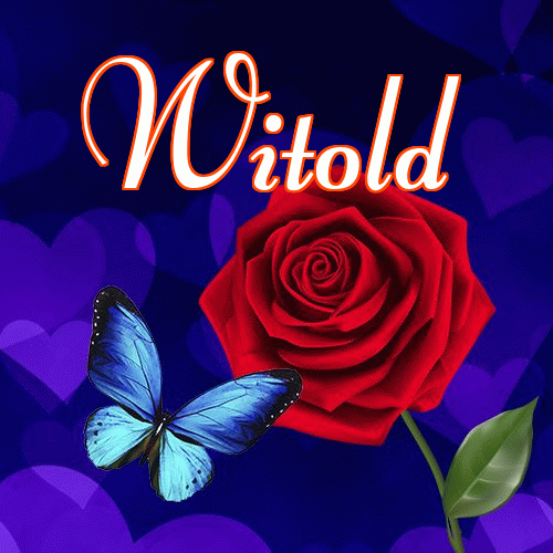 Miłego wieczoru i dobrej nocy życzę!。 