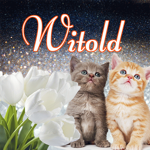 Miłego wieczoru i dobrej nocy życzę!。 