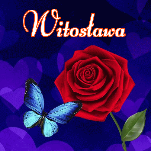 Miłego wieczoru i dobrej nocy życzę!。 