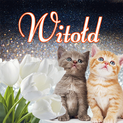 Miłego wieczoru i dobrej nocy życzę!。 