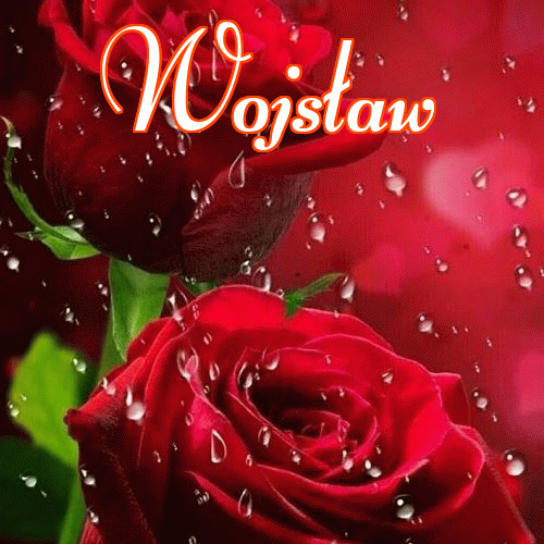 Miłego wieczoru i dobrej nocy życzę!。 