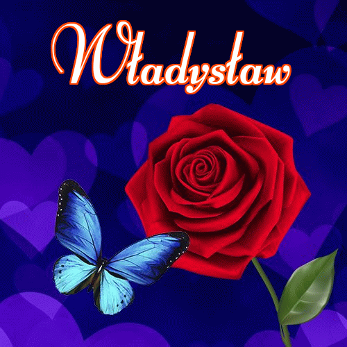 Miłego wieczoru i dobrej nocy życzę!。 