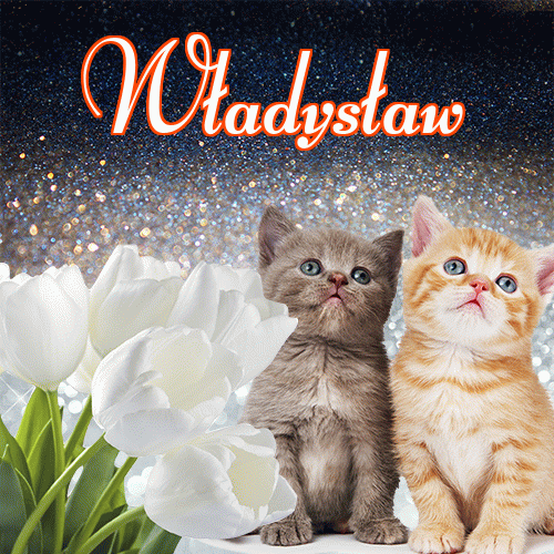 Miłego wieczoru i dobrej nocy życzę!。 