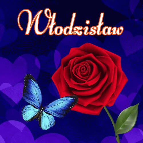 Miłego wieczoru i dobrej nocy życzę!。 