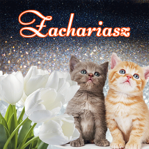 Miłego wieczoru i dobrej nocy życzę!。 