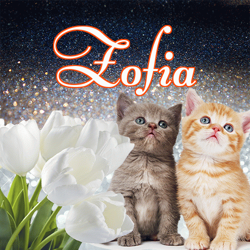 Miłego wieczoru i dobrej nocy życzę!。 