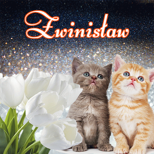 Miłego wieczoru i dobrej nocy życzę!。 