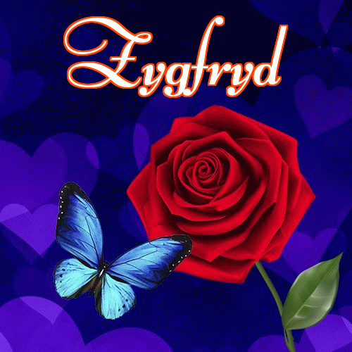 Miłego wieczoru i dobrej nocy życzę!。 