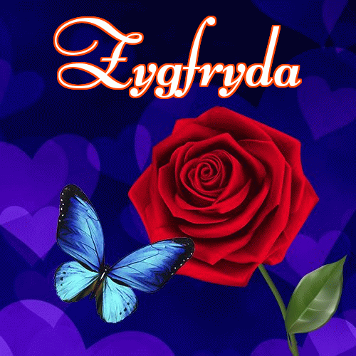 Miłego wieczoru i dobrej nocy życzę!。 